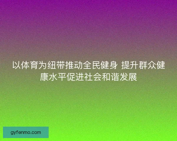 以体育为纽带推动全民健身 提升群众健康水平促进社会和谐发展