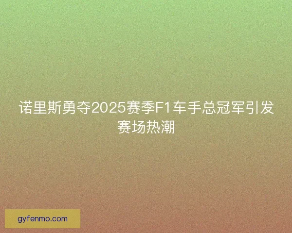 诺里斯勇夺2025赛季F1车手总冠军引发赛场热潮