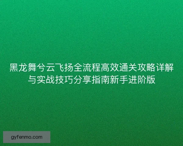 黑龙舞兮云飞扬全流程高效通关攻略详解与实战技巧分享指南新手进阶版